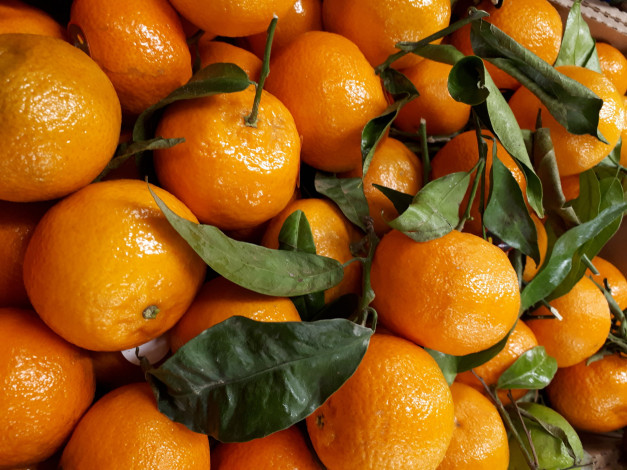 Обои картинки фото еда, цитрусы, клементины