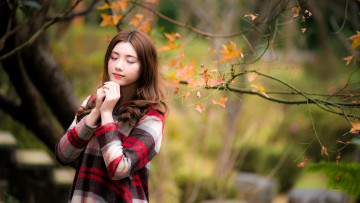 Картинка девушки -+азиатки шатенка платье дерево листья осень