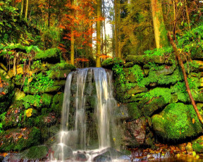 обоя природа, водопады, лес, деревья, водопад, камни, мох, листья