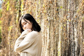 Картинка девушки -+азиатки брюнетка свитер стена растения ветки