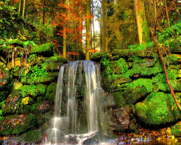 Обои картинки фото природа, водопады, лес, деревья, водопад, камни, мох, листья