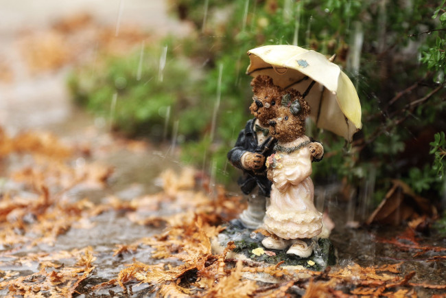 Обои картинки фото разное, игрушки, дождь
