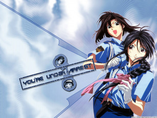 Картинка аниме you`re under arrest