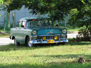 Картинка автомобили chevrolet