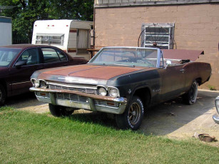 Картинка автомобили выставки уличные фото