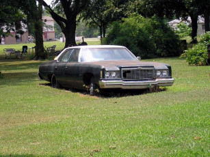 Картинка автомобили выставки уличные фото