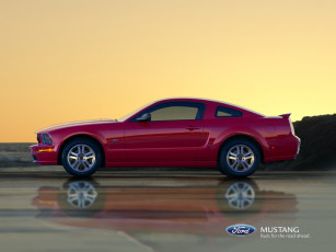 Картинка ford mustang автомобили