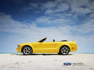 Картинка ford mustang автомобили