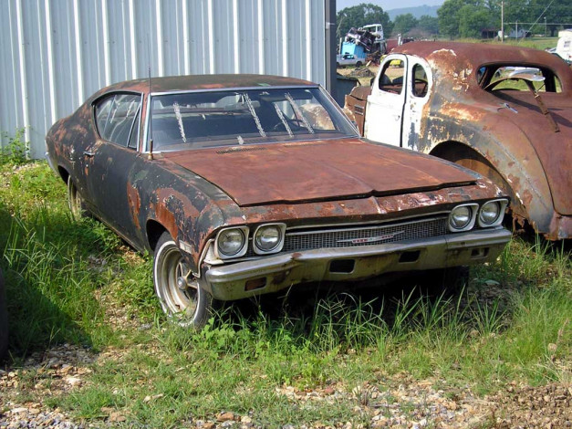 Обои картинки фото автомобили, выставки, уличные, фото