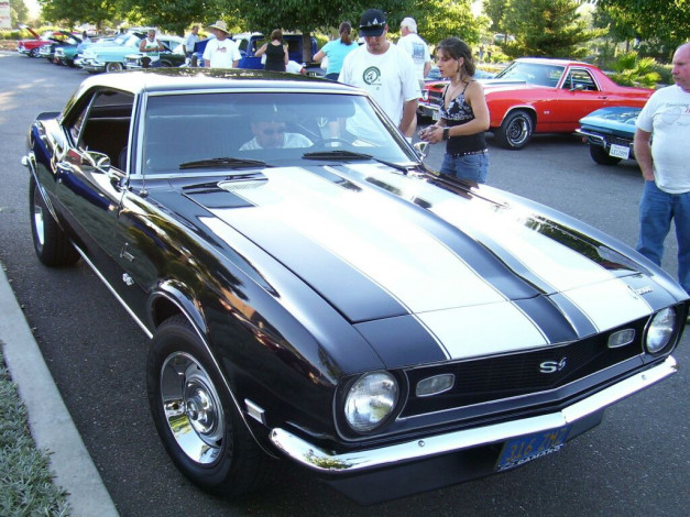 Обои картинки фото автомобили, выставки, уличные, фото