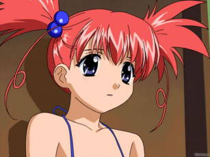 Картинка аниме sister princess