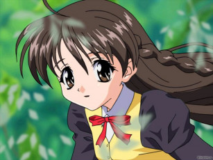 Картинка аниме sister princess