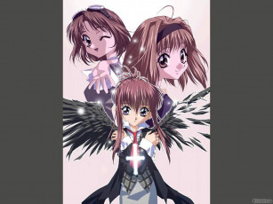 Картинка аниме sister princess