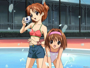 Картинка аниме sister princess