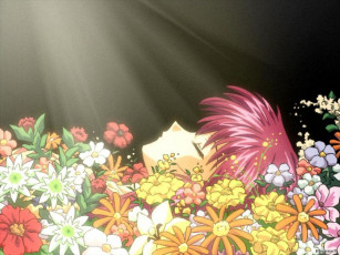 Картинка аниме sister princess