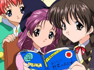 Картинка аниме sister princess