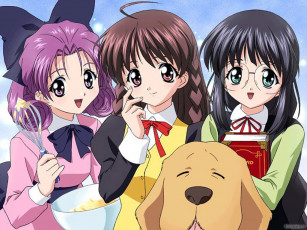 Картинка аниме sister princess