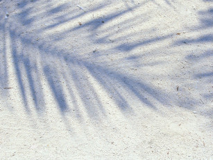 Картинка разное