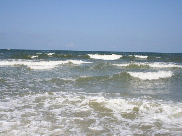 Обои картинки фото 