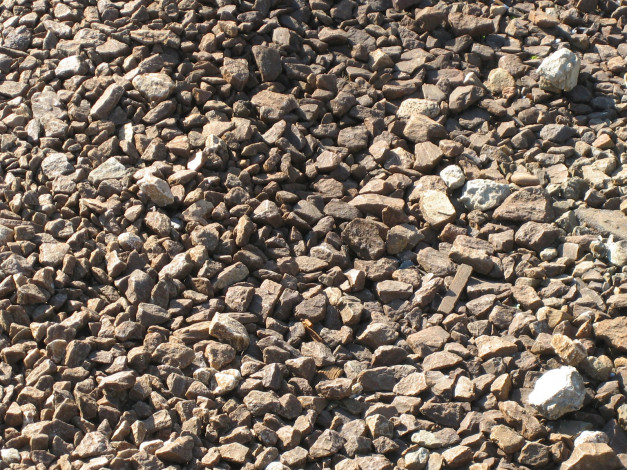 Обои картинки фото 