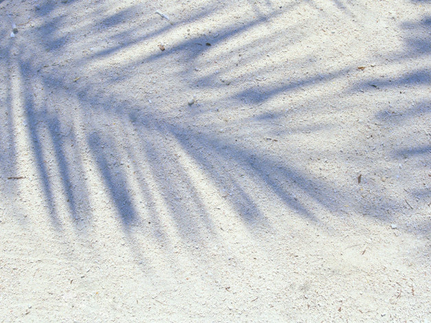 Обои картинки фото разное