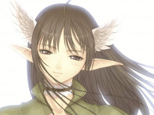 Картинка аниме shining tears wind