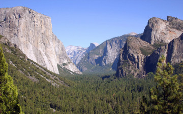 Картинка природа