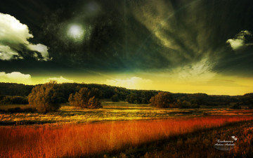 Картинка разное компьютерный дизайн