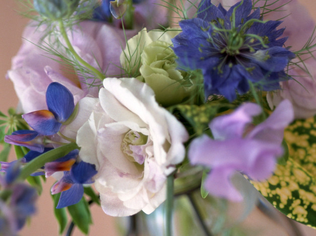 Обои картинки фото цветы, букеты, композиции