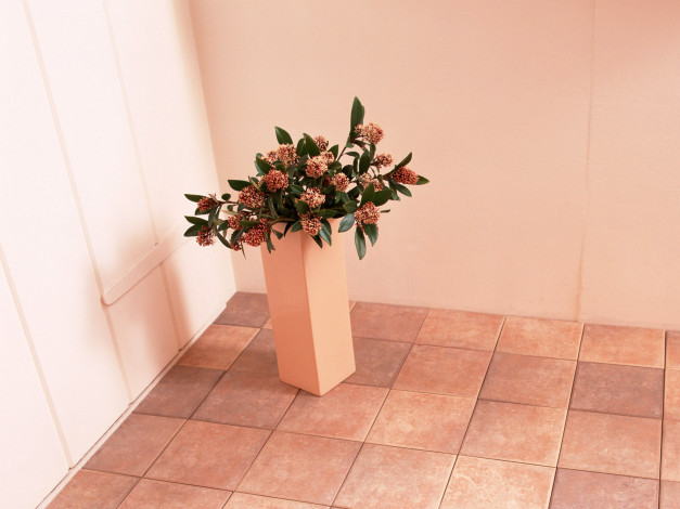 Обои картинки фото цветы, букеты, композиции