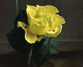 Картинка рисованные цветы