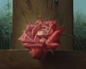 Картинка рисованные цветы