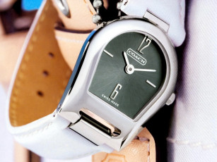 Картинка бренды coach