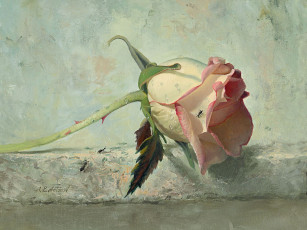 Картинка рисованные цветы