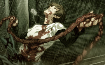 Картинка аниме togainu no chi