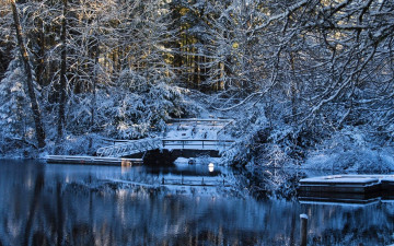 Картинка природа зима