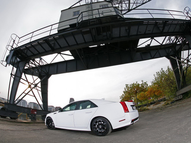 Обои картинки фото автомобили, cadillac