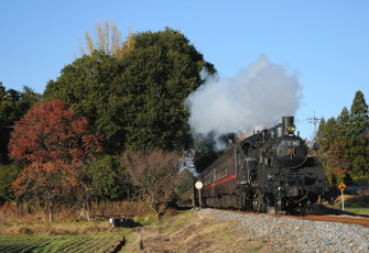 Картинка техника паровозы паровоз небо деревья