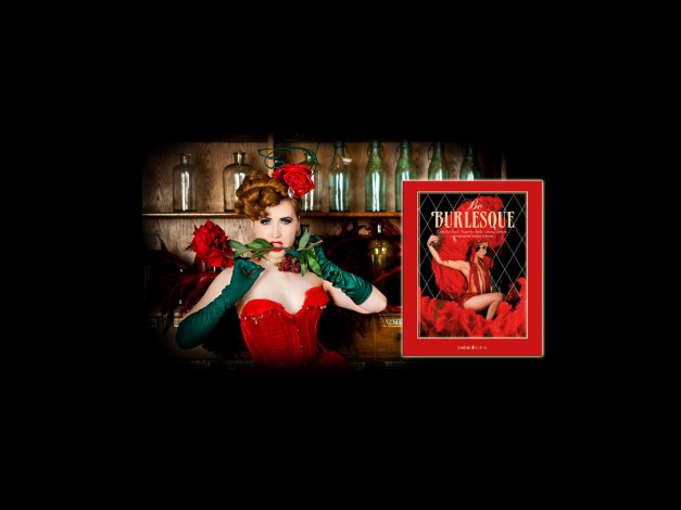 Обои картинки фото _Unsort -НЕ ВЫБИРАТЬ  , девушки, , не, выбирать, корсаж, роза, перчатки