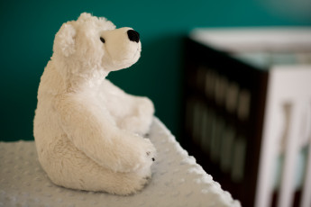 Картинка разное игрушки игрушка ткань медведь