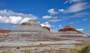 Картинка petrified forest national park природа горы камни трава вершины
