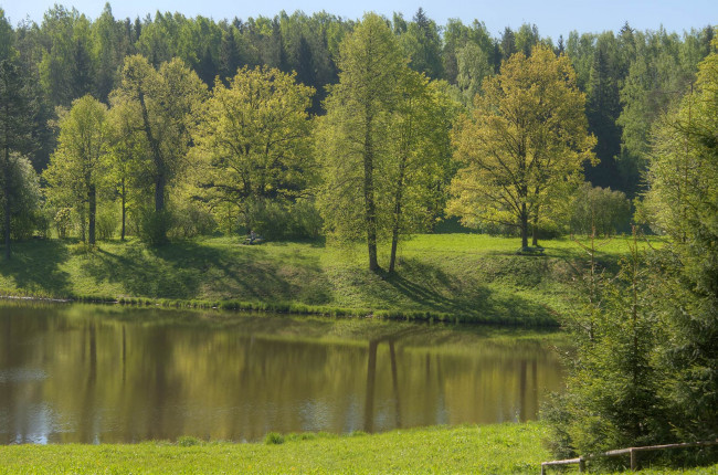 Обои картинки фото природа, реки, озера, лес, водоем