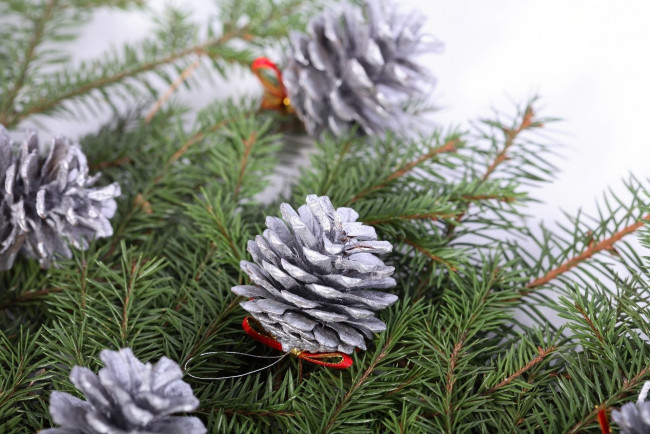 Обои картинки фото праздничные, украшения, еловая, ветка, шишки