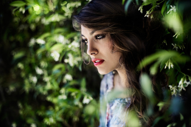 Обои картинки фото шикарная брюнетка, девушки, -unsort , лица,  портреты, голубка, красивая, брюнетка, шикарная, нежная