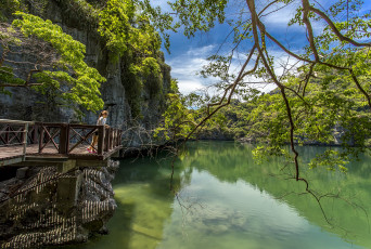 Картинка природа реки озера лес мостик река