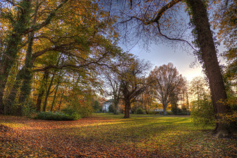 Картинка природа парк краски осень