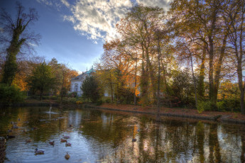 Картинка природа парк краски осень