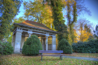 Картинка природа парк осень краски