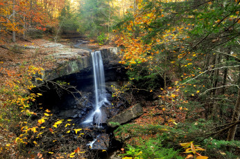Картинка природа водопады водопад река лес