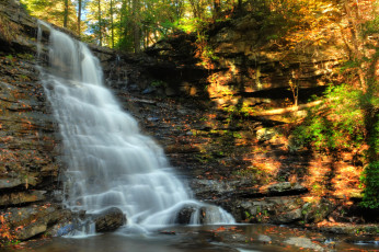 Картинка природа водопады водопад река лес